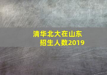 清华北大在山东招生人数2019