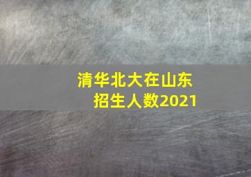 清华北大在山东招生人数2021