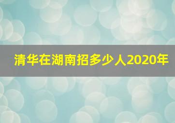 清华在湖南招多少人2020年