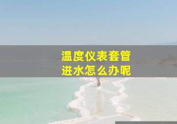 温度仪表套管进水怎么办呢