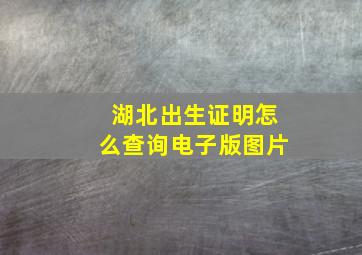 湖北出生证明怎么查询电子版图片