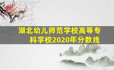 湖北幼儿师范学校高等专科学校2020年分数线