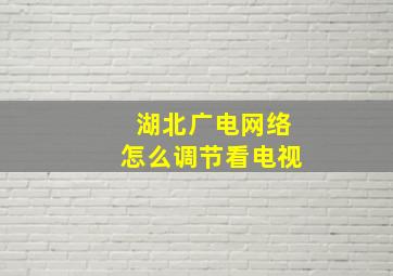 湖北广电网络怎么调节看电视