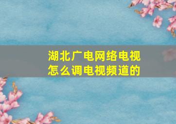 湖北广电网络电视怎么调电视频道的