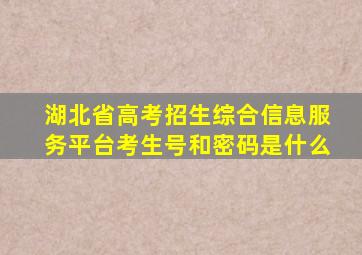 湖北省高考招生综合信息服务平台考生号和密码是什么