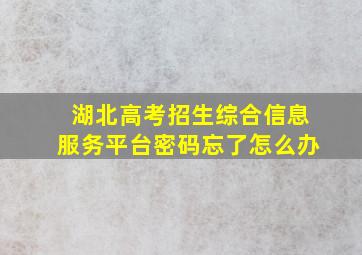 湖北高考招生综合信息服务平台密码忘了怎么办