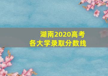 湖南2020高考各大学录取分数线