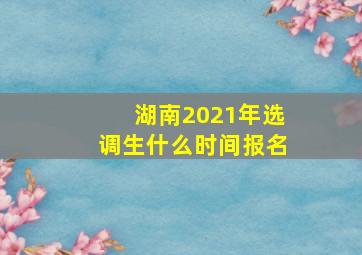 湖南2021年选调生什么时间报名