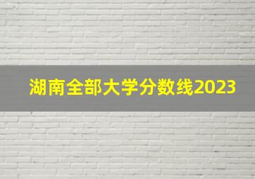 湖南全部大学分数线2023