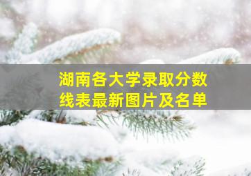 湖南各大学录取分数线表最新图片及名单