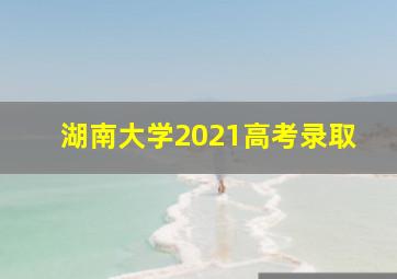 湖南大学2021高考录取