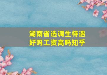 湖南省选调生待遇好吗工资高吗知乎