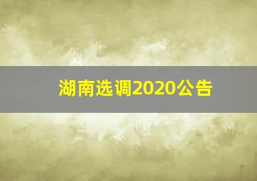 湖南选调2020公告