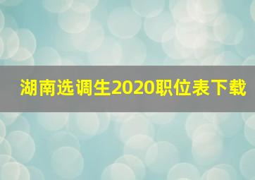 湖南选调生2020职位表下载