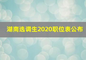 湖南选调生2020职位表公布