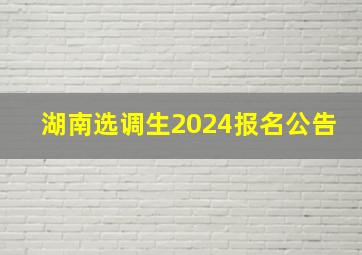 湖南选调生2024报名公告