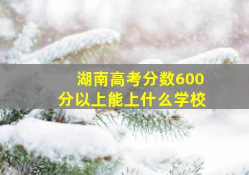 湖南高考分数600分以上能上什么学校