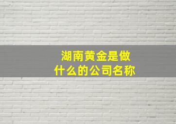 湖南黄金是做什么的公司名称