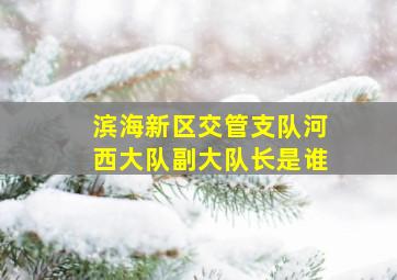 滨海新区交管支队河西大队副大队长是谁