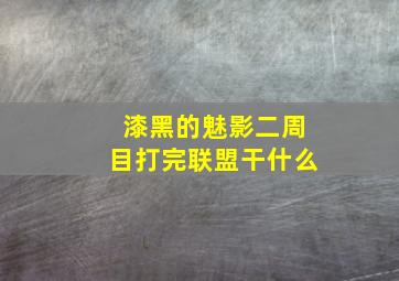 漆黑的魅影二周目打完联盟干什么