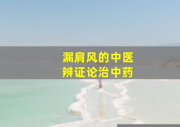 漏肩风的中医辨证论治中药