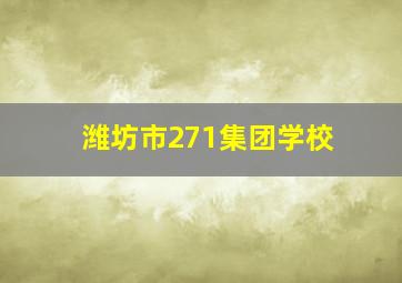 潍坊市271集团学校