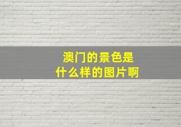 澳门的景色是什么样的图片啊