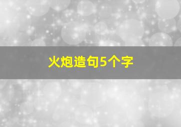 火炮造句5个字