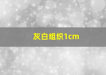 灰白组织1cm