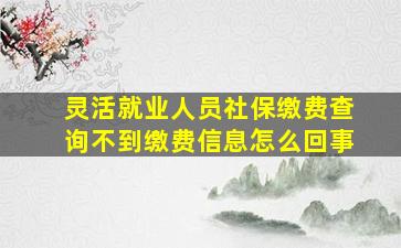 灵活就业人员社保缴费查询不到缴费信息怎么回事