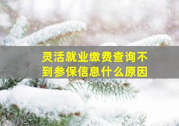 灵活就业缴费查询不到参保信息什么原因