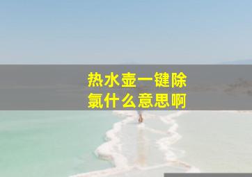 热水壶一键除氯什么意思啊