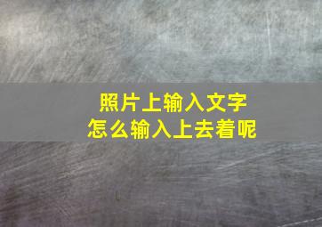 照片上输入文字怎么输入上去着呢