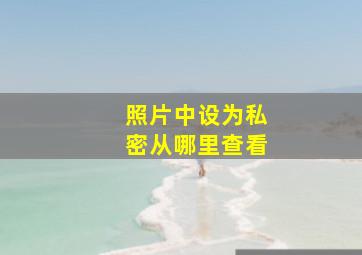 照片中设为私密从哪里查看