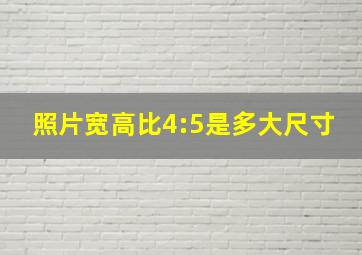 照片宽高比4:5是多大尺寸