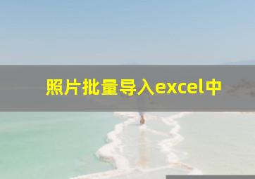 照片批量导入excel中