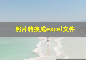 照片转换成excel文件