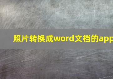 照片转换成word文档的app