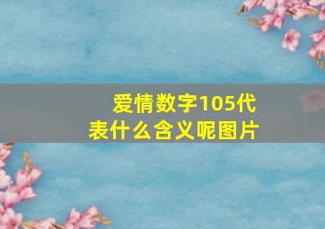 爱情数字105代表什么含义呢图片