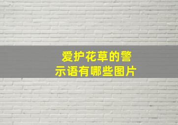 爱护花草的警示语有哪些图片