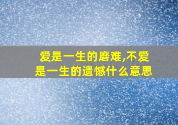 爱是一生的磨难,不爱是一生的遗憾什么意思