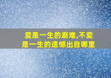 爱是一生的磨难,不爱是一生的遗憾出自哪里