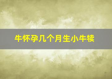 牛怀孕几个月生小牛犊