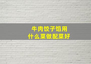 牛肉饺子馅用什么菜做配菜好