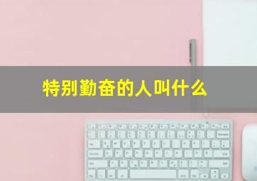 特别勤奋的人叫什么