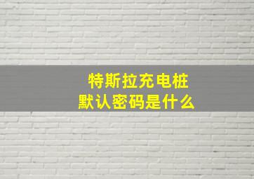 特斯拉充电桩默认密码是什么