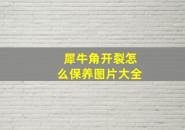 犀牛角开裂怎么保养图片大全