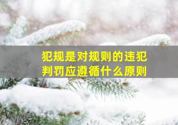 犯规是对规则的违犯判罚应遵循什么原则