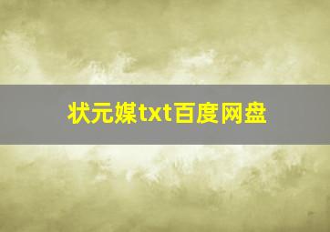 状元媒txt百度网盘