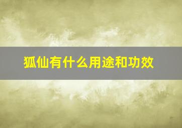 狐仙有什么用途和功效